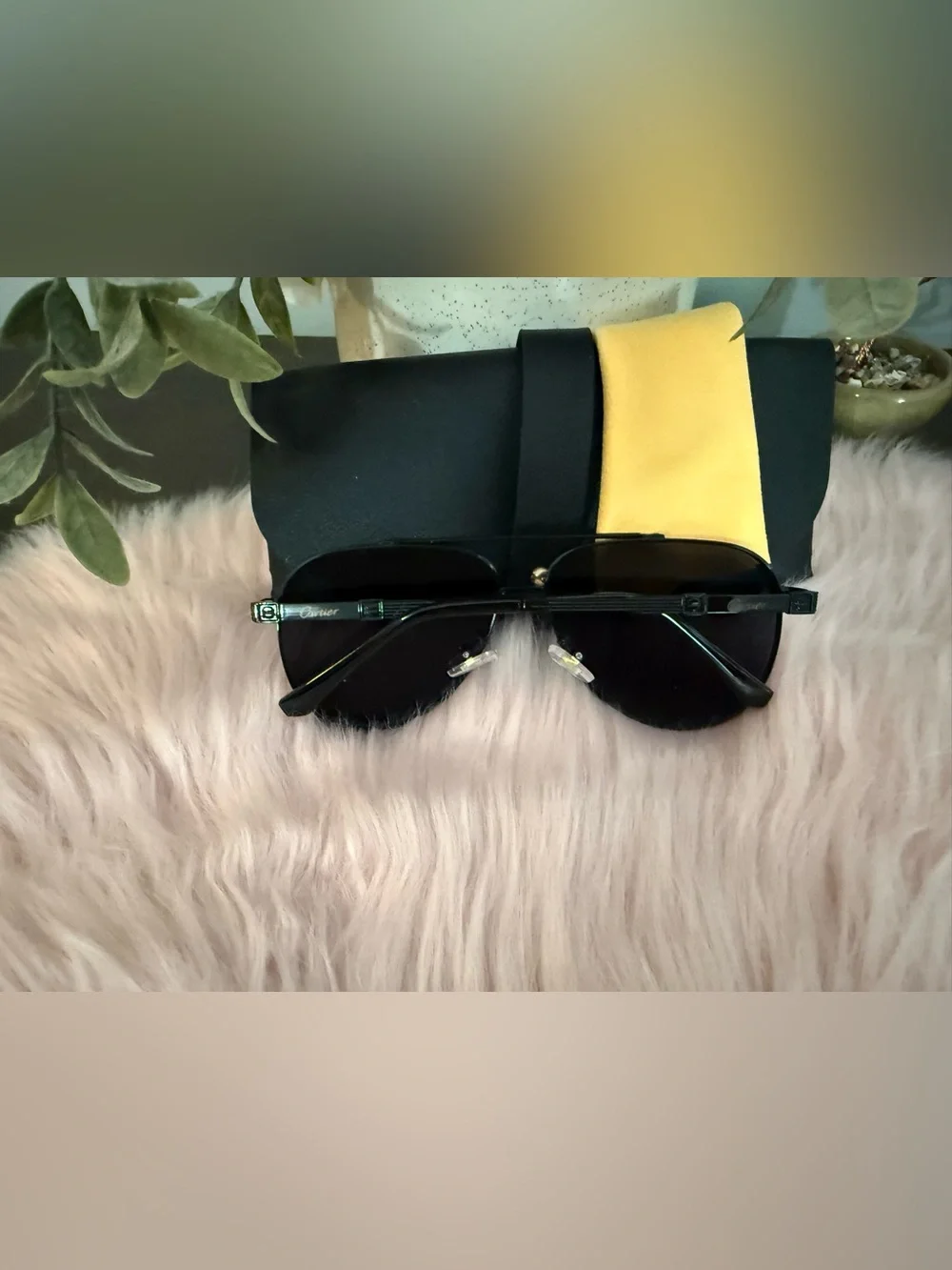 Men's Black Aviator Sunglasses with Protective Case
